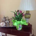 Magnolia House