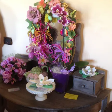 לינה וארוחת בוקר Magnolia House Taurianova