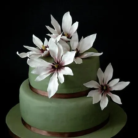 Bed & Breakfast Magnolia House