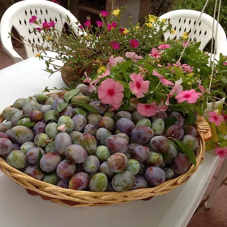 Magnolia House Bed & Breakfast Taurianova