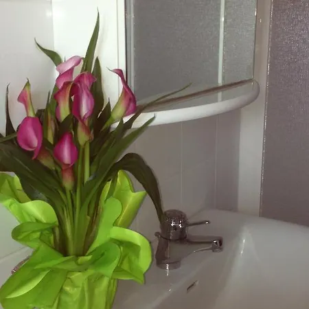 Nocleg ze śniadaniem Magnolia House 2*