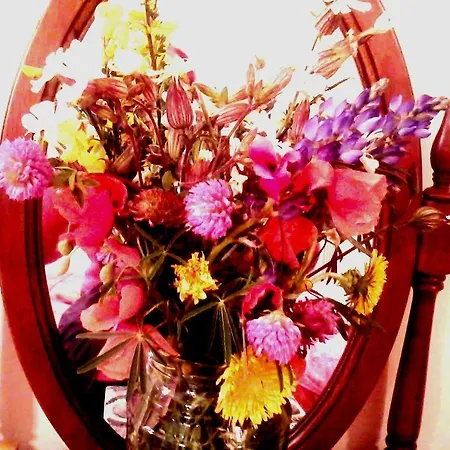 Bed & Breakfast Magnolia House 2*