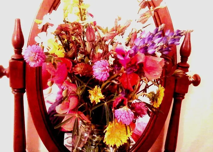 Bed & Breakfast Magnolia House 2*